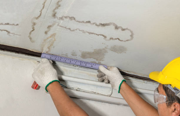 Reliable Water Damage contractor in Franklin, ME by Water Damage Irwin